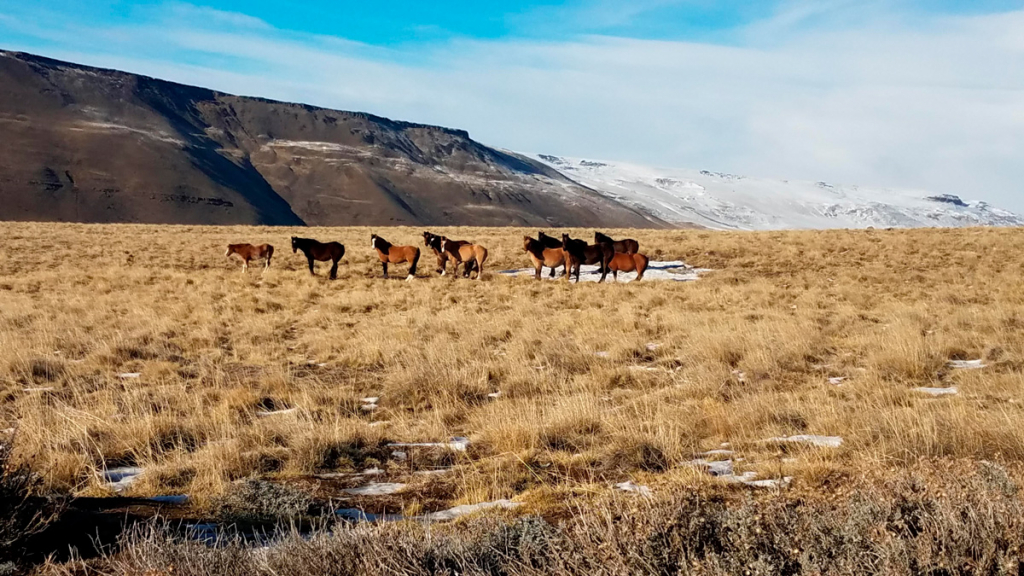 Balcones de Calafate - Full 4x4 - Imagen 2